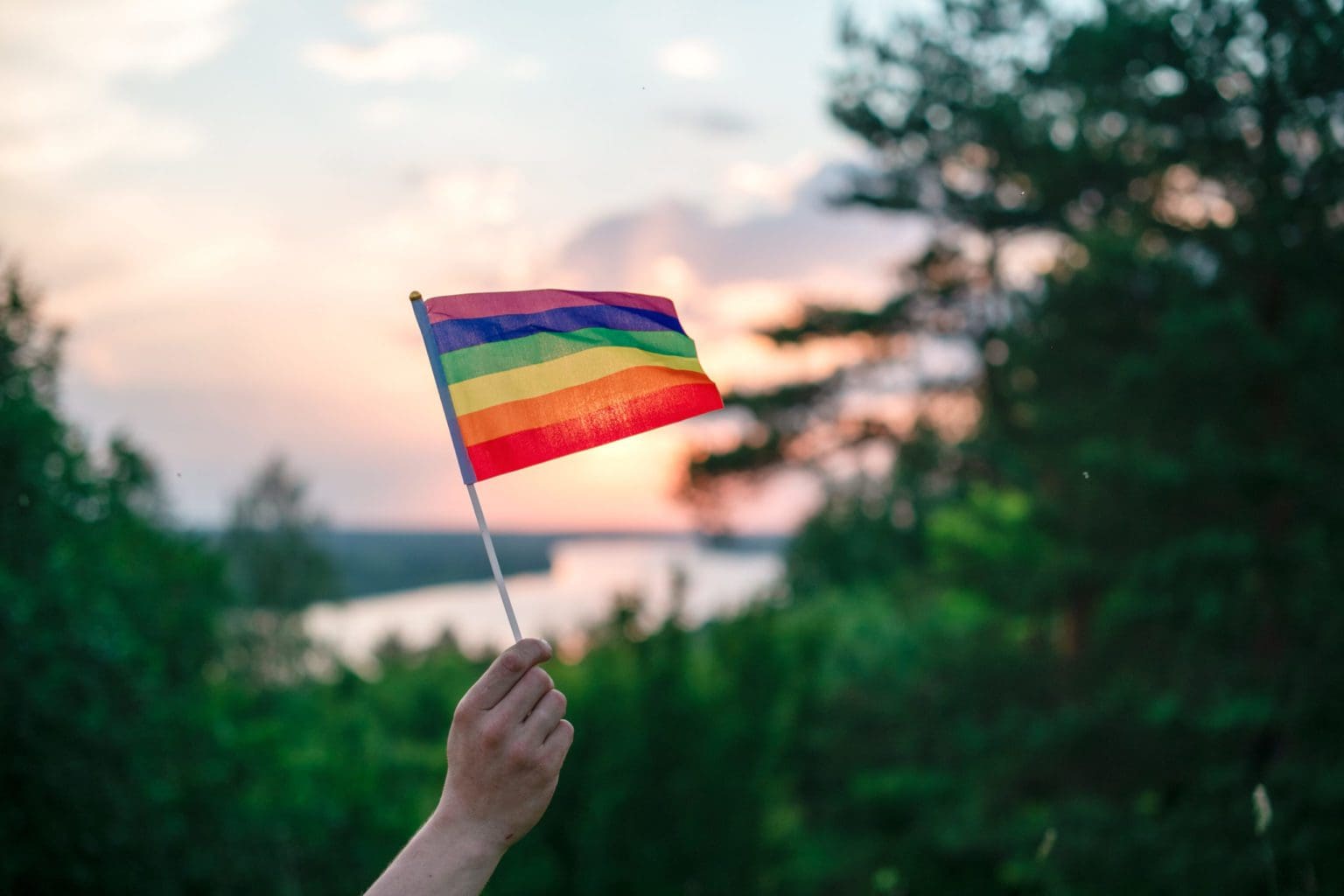 Pride and Profit: the Hypocrisy of Inclusive Marketing