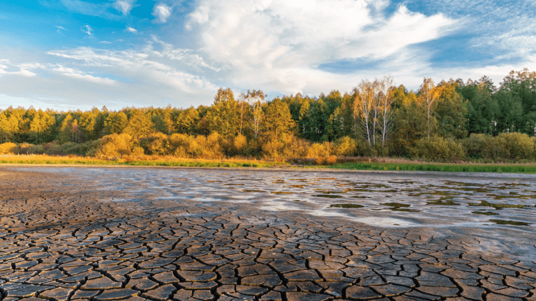 Grain Transports Hindered by Extreme Droughts