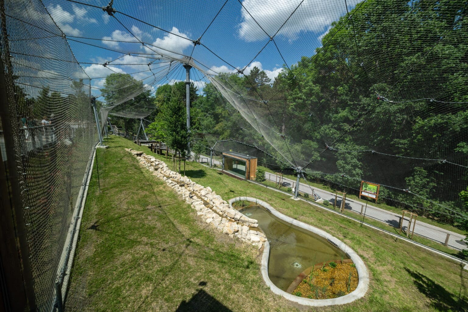 Veszprém Zoo Unveils New Big Cat Enclosure - Hungarian Conservative