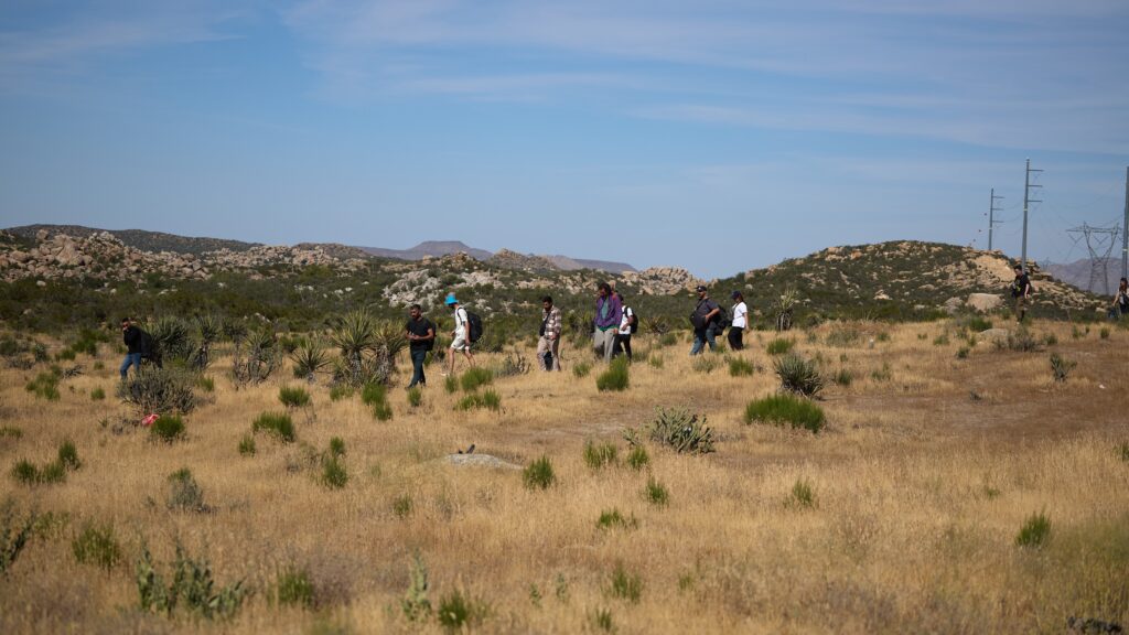 Illegal immigrants walking in the desert after having crossed into the United States on June 5 2024.