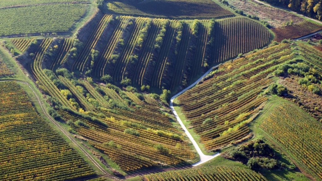 An aerial view of vineyards in the Villány wine region (Pixabay)