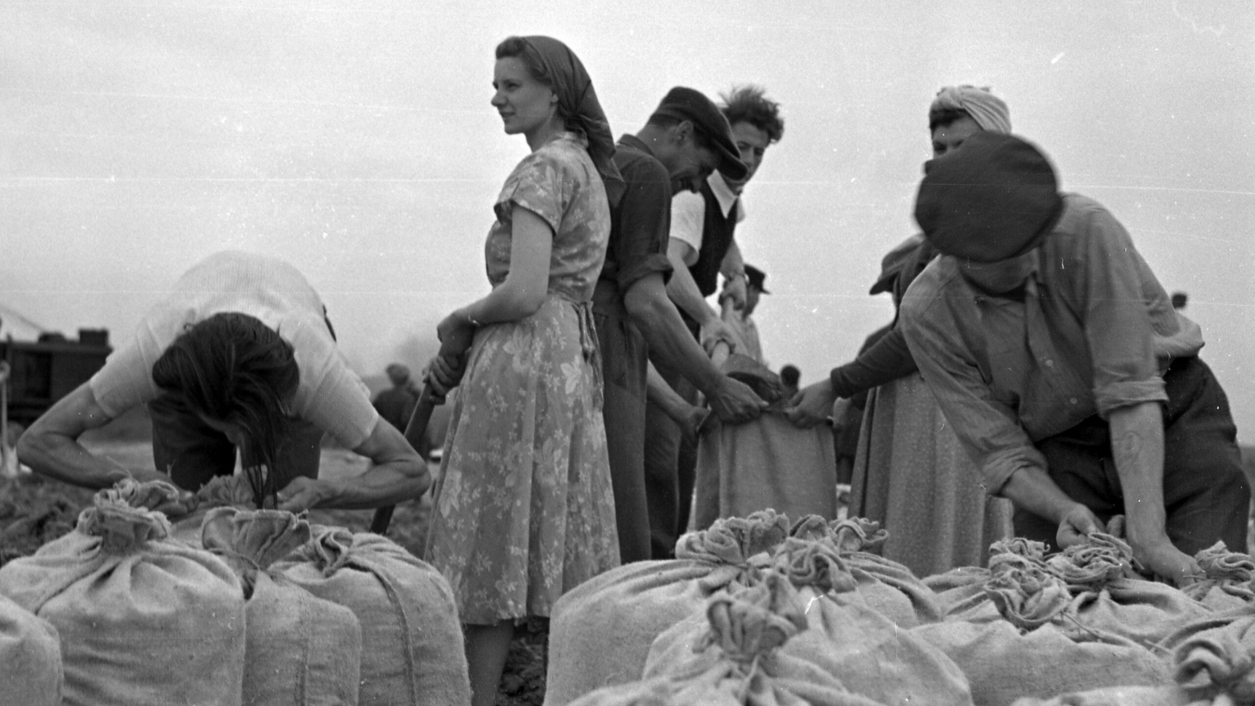 Volunteers fill sandbags during the flood of 1954.