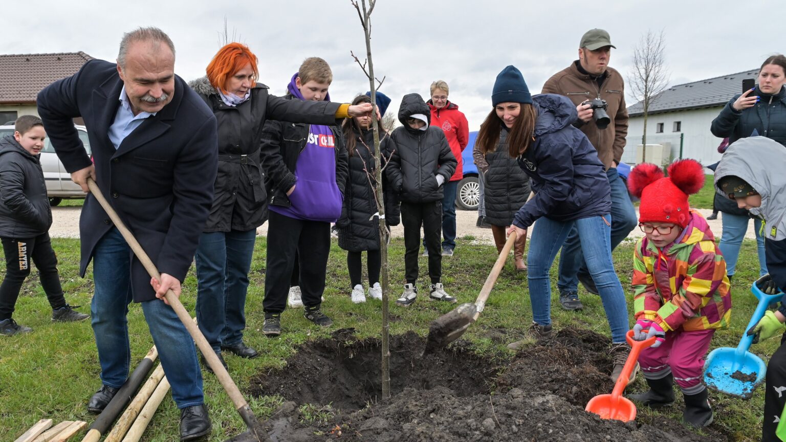 Hungary’s Tree Planting Programme Aims for Greener Future and Climate Protection