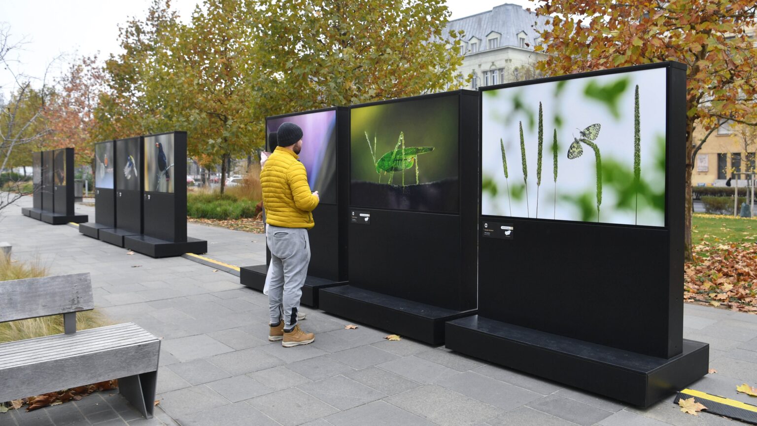 Outdoor Photo Exhibition Brings Hungary’s Wildlife to Life