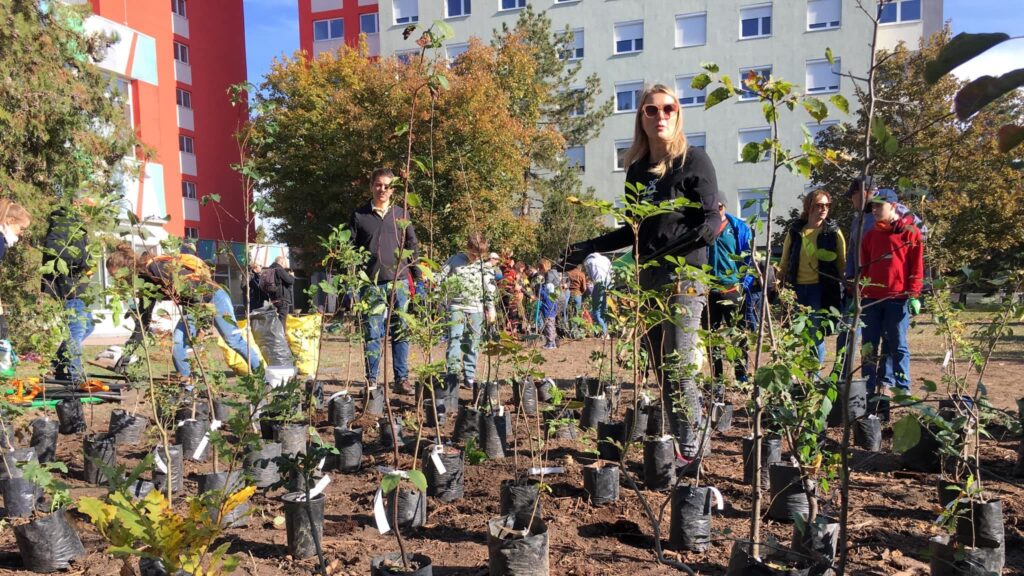 Volunteers planting a Miyawaki pocket forest at the student halls of residence of ELTE university in Budatétény, Budapest, Hungary on 19 October 2024