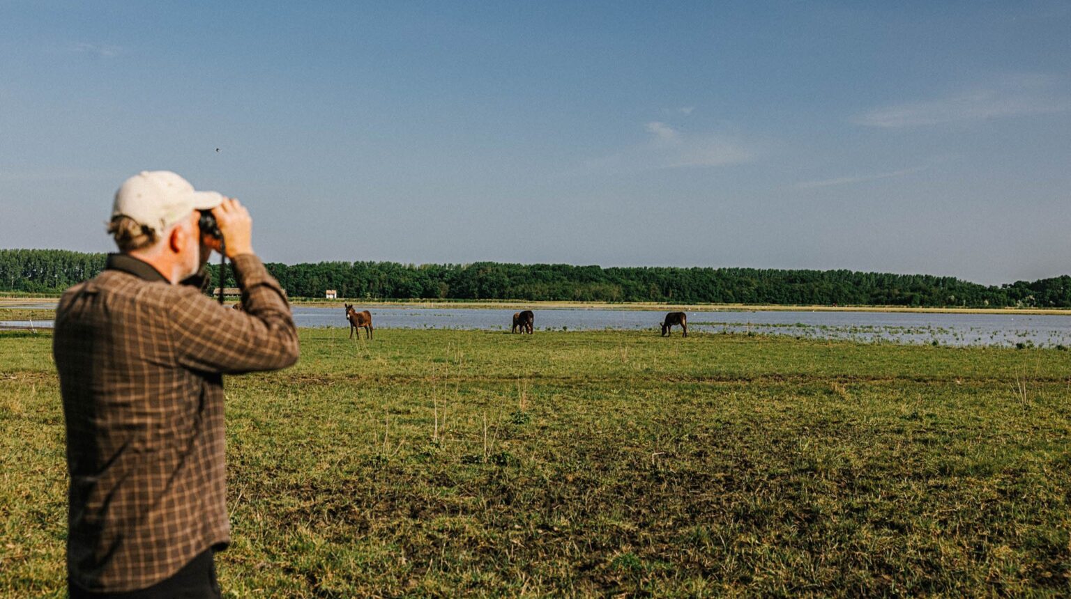 Where Birds Keep Coming Back — The Success Story of the Hortobágy Environmental Association